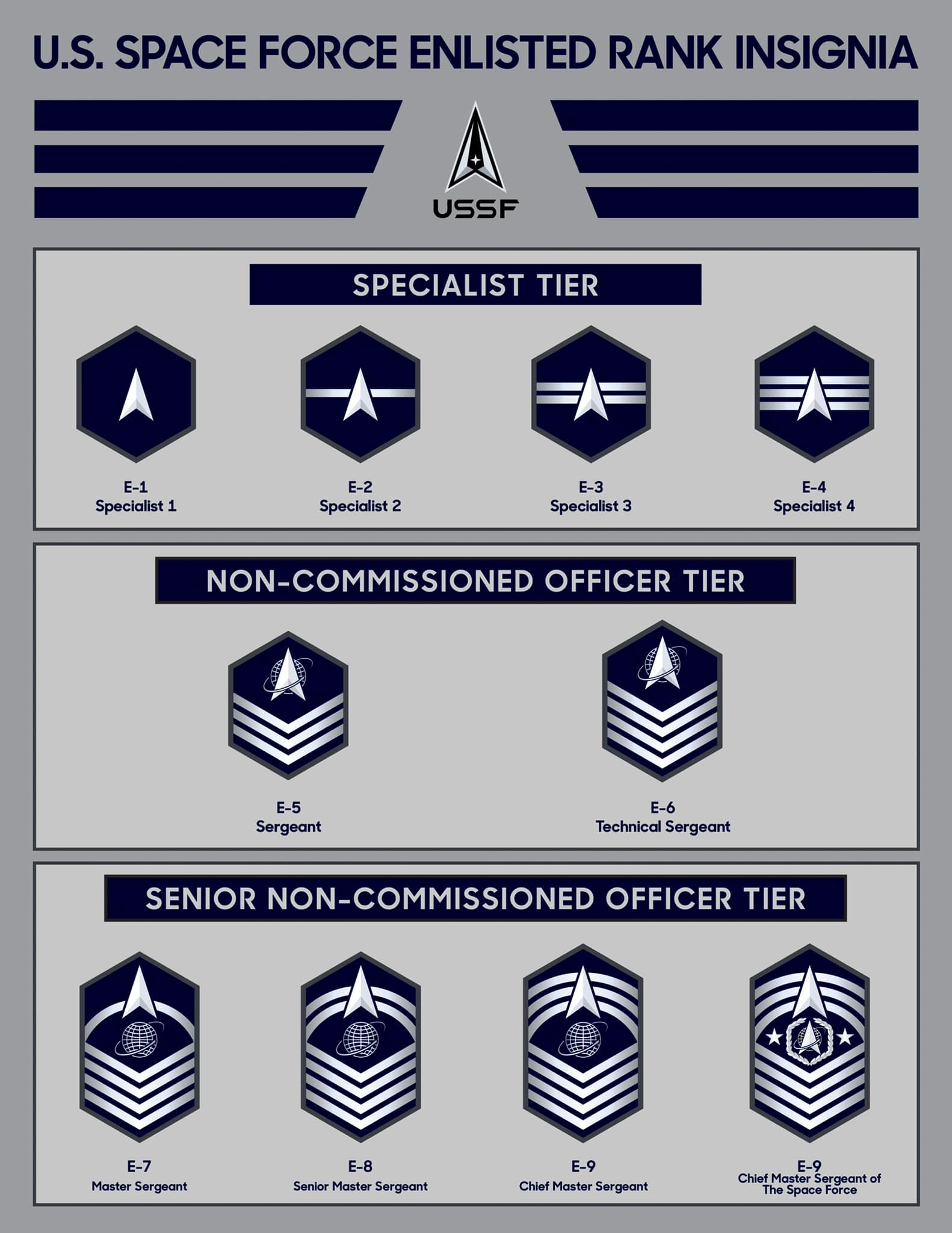 Navy Enlisted Rank Insignia Cuteloki