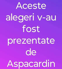 Alegerile prezidentiale 2024 au fost anulate de Curtea Constitutională